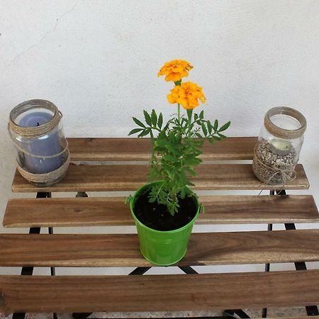 75 Sq.M. Apt In The Heart Of Athens - Renovated Apartment ภายนอก รูปภาพ